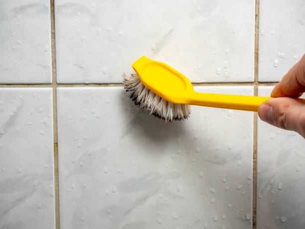 Best Mold Inspection  in Goldenrod, FL
