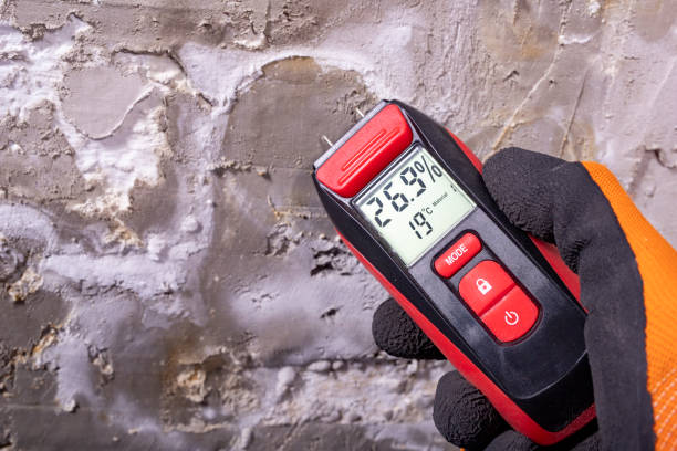 Best Residential Mold Removal  in Goldenrod, FL